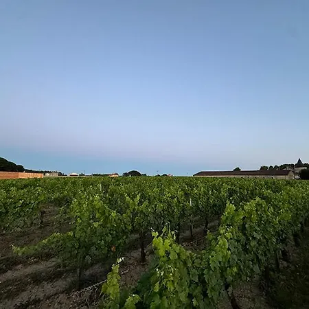 مكان تخييم 'sable' Vineyard Cabin At Chateau Puynard