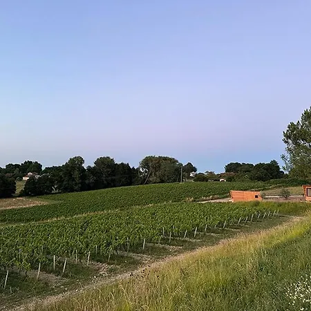 'sable' Vineyard Cabin At Chateau Puynard مكان تخييم