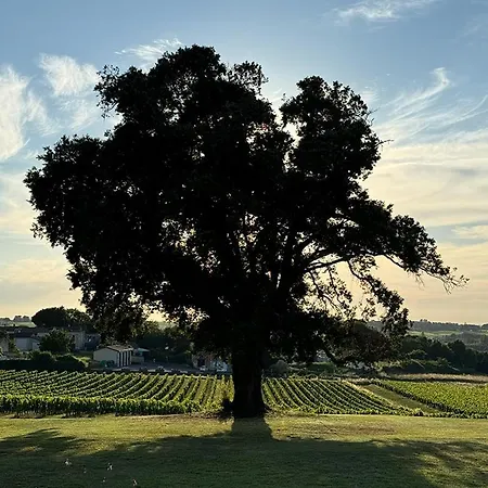مكان تخييم 'sable' Vineyard Cabin At Chateau Puynard